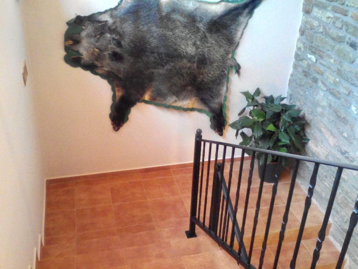 Jazmin Apartman Tihany Zewnętrze zdjęcie